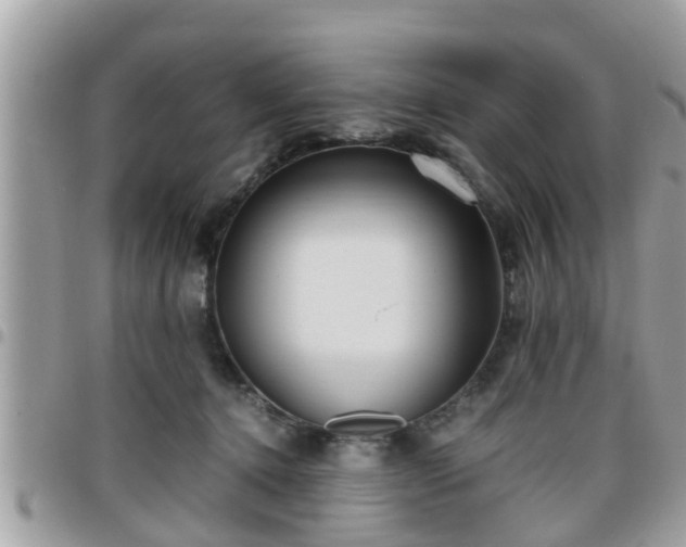 X0000095910368200801181401