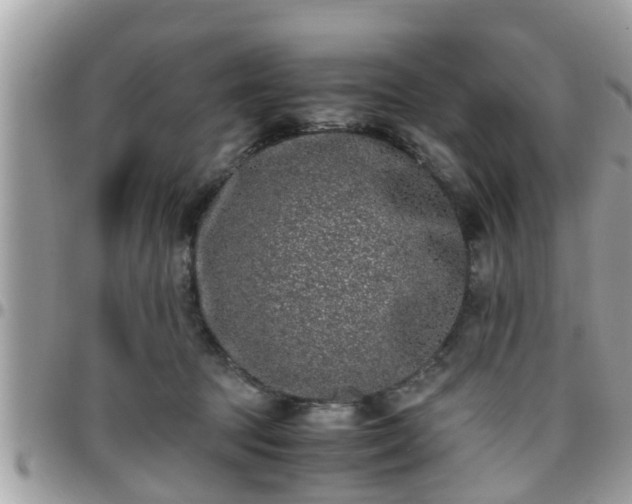 X0000095910369200801181401