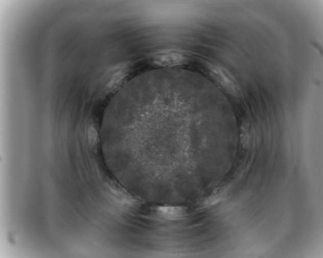 X0000095910371200801181401