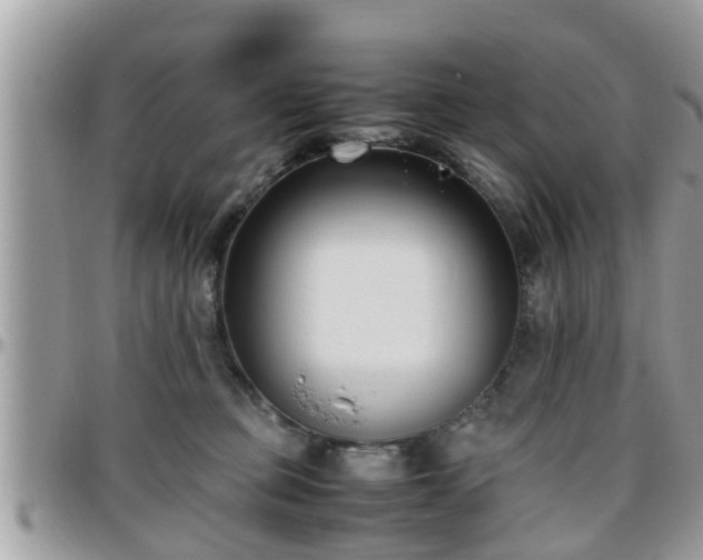 X0000095910373200801181401