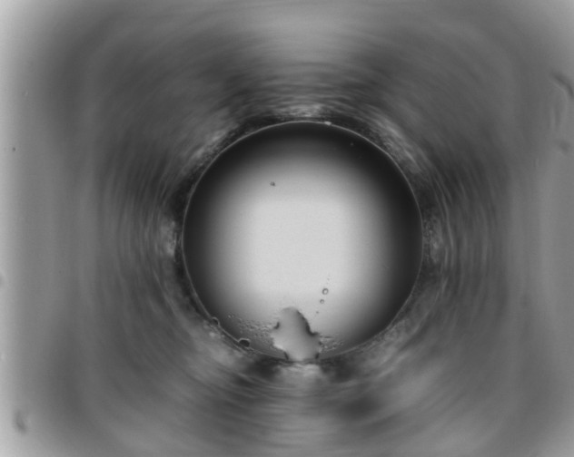 X0000095910374200801181401