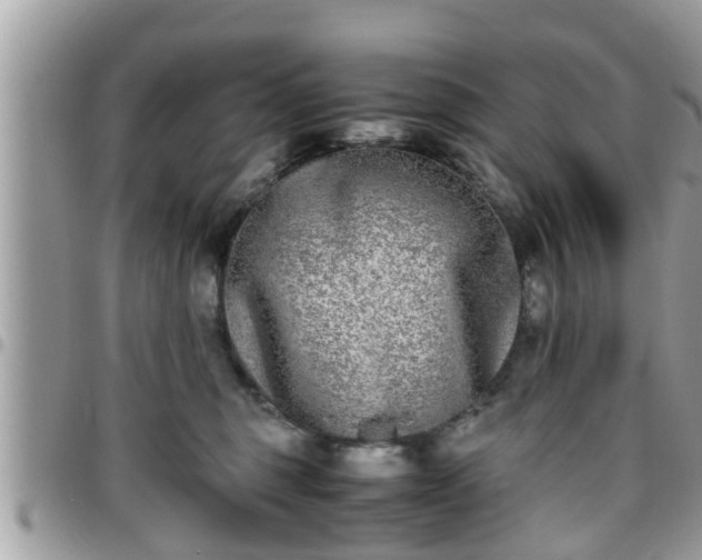 X0000095910375200801181401