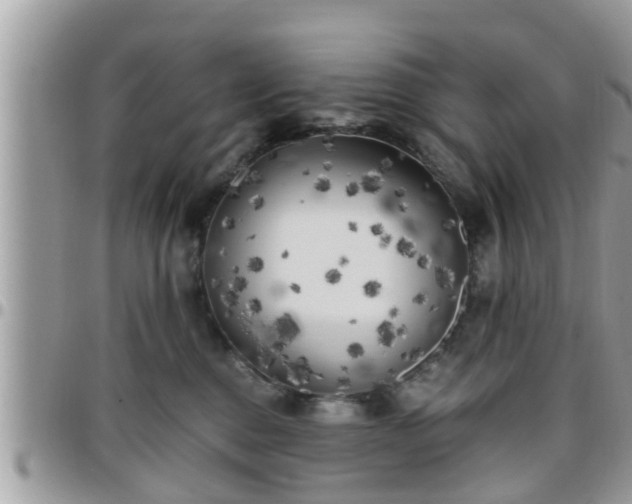 X0000095910376200801181401