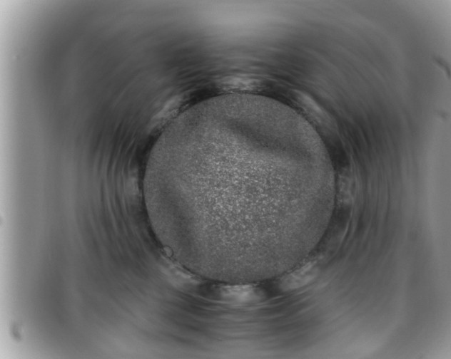 X0000095910377200801181401