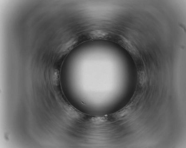 X0000095910378200801181401