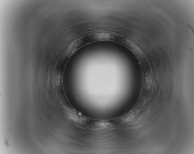 X0000095910379200801181401