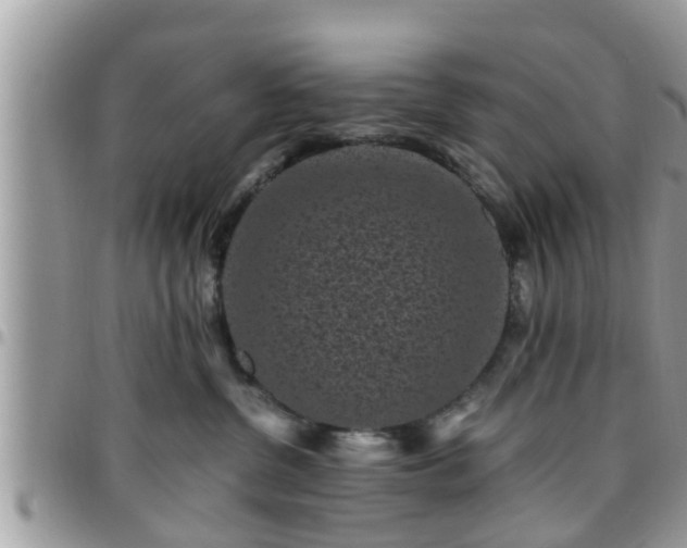 X0000095910380200801181401