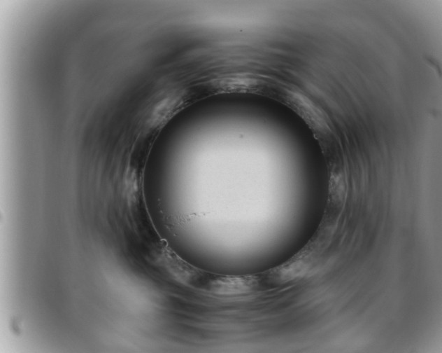 X0000095910381200801181401