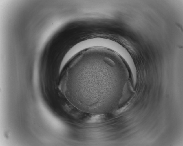 X0000095910382200801181401