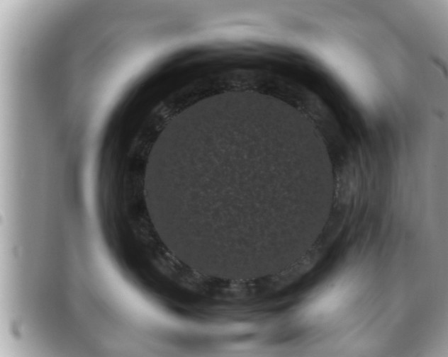 X0000095910383200801181401