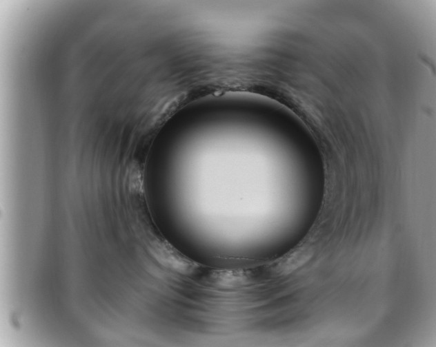 X0000095910384200801181401