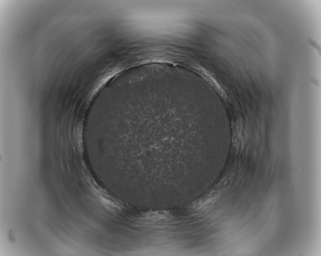 X0000095910386200801181400