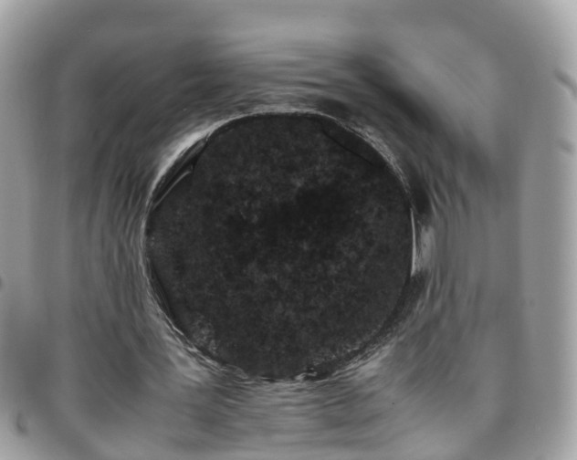 X0000095910387200801181400