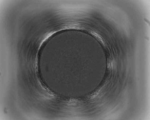 X0000095910388200801181400