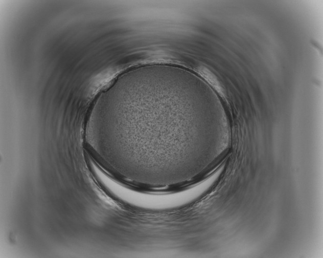 X0000095910389200801181400