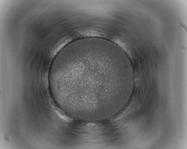 X0000095910390200801181400