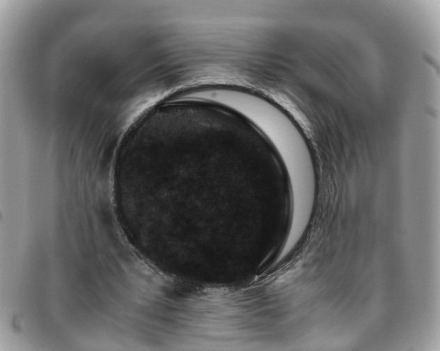 X0000095910391200801181400