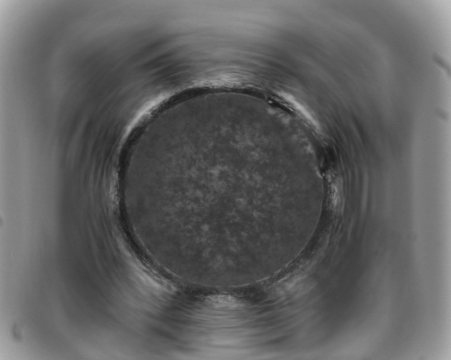 X0000095910392200801181400