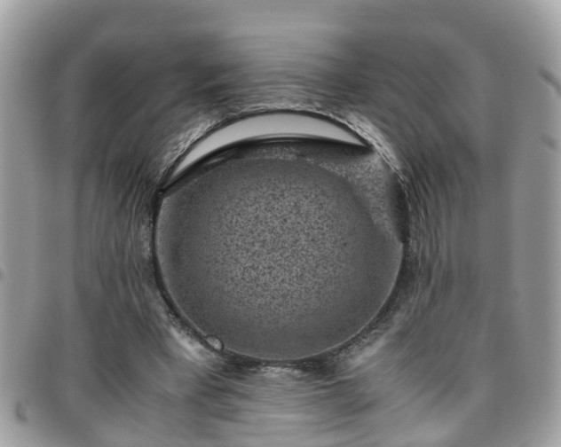 X0000095910393200801181400