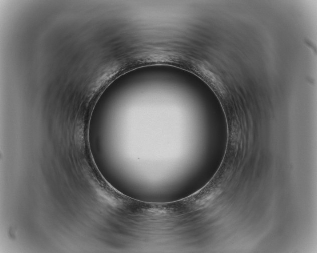 X0000095910394200801181400