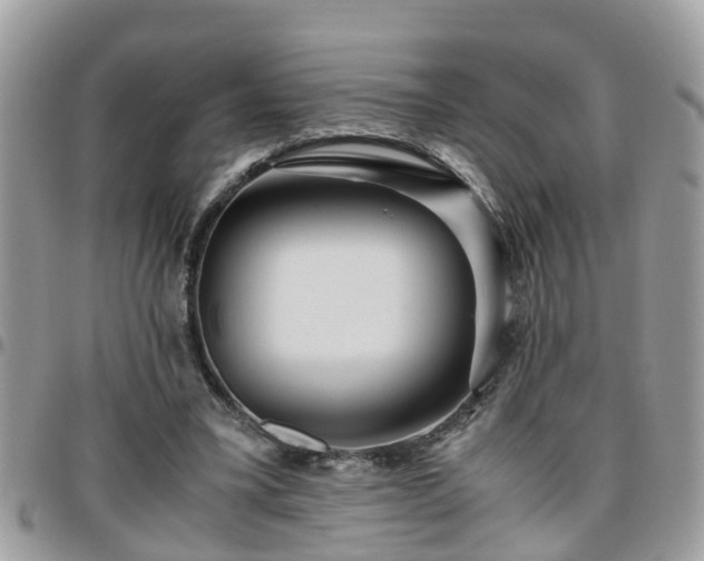 X0000095910395200801181400