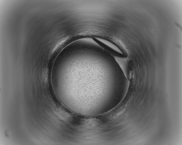 X0000095910396200801181400