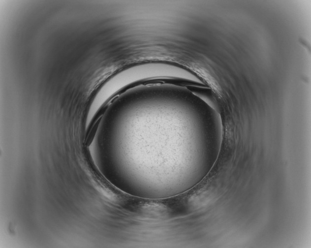 X0000095910397200801181400