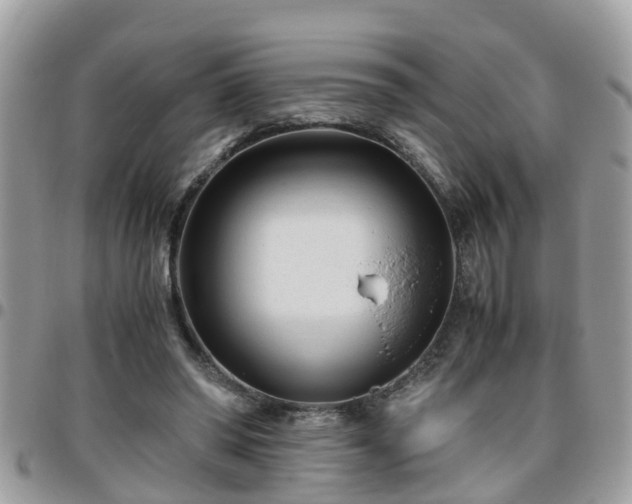 X0000095910398200801181400