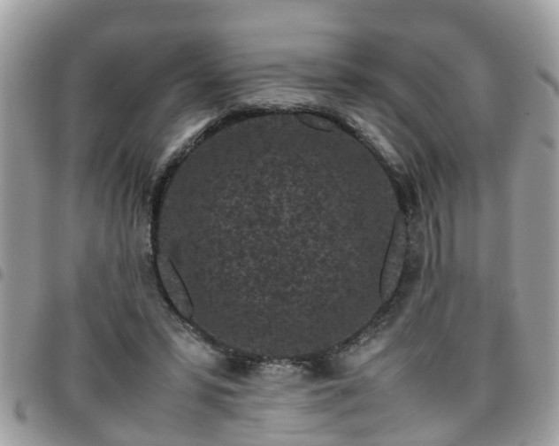 X0000095910399200801181400