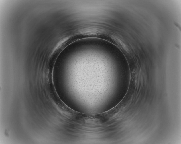 X0000095910400200801181400