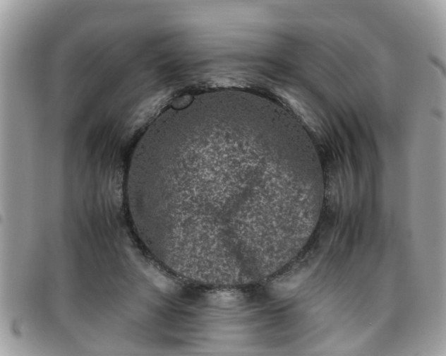 X0000095910402200801181400