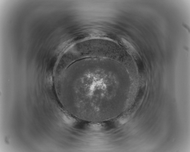 X0000095910405200801181400