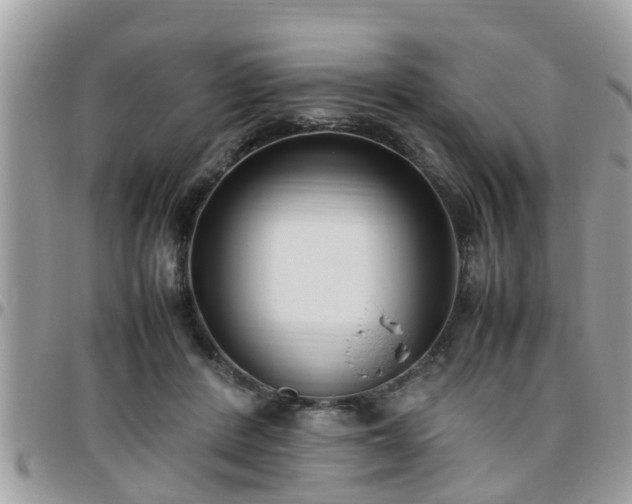 X0000095910408200801181400