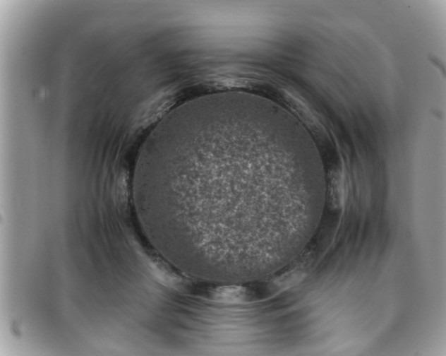 X0000095910410200801181400