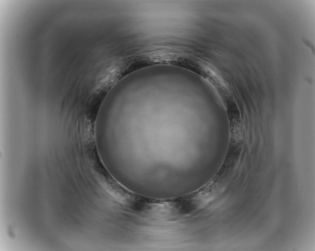 X0000095910411200801181400