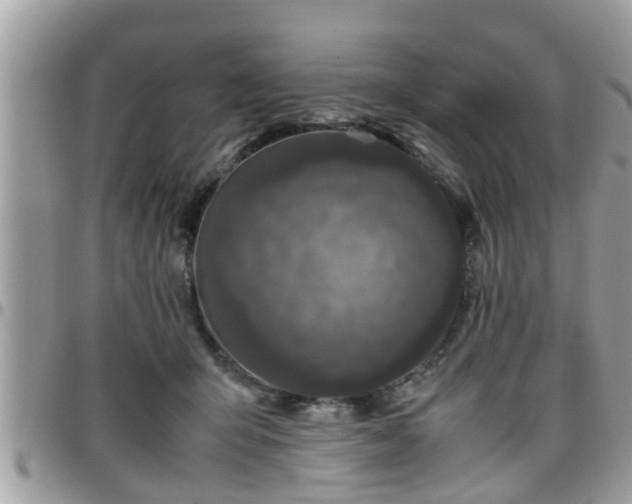 X0000095910415200801181400