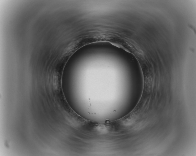 X0000095910416200801181400