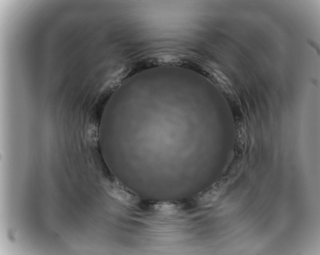 X0000095910419200801181400