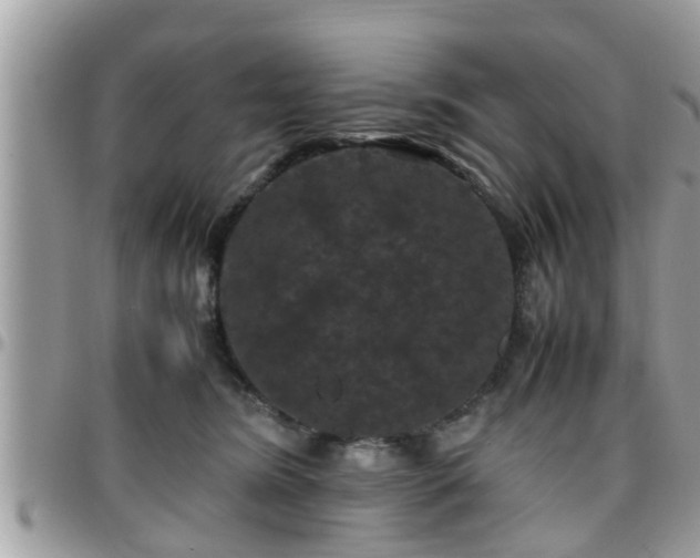 X0000095910420200801181400