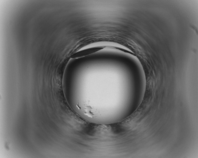 X0000095910421200801181400