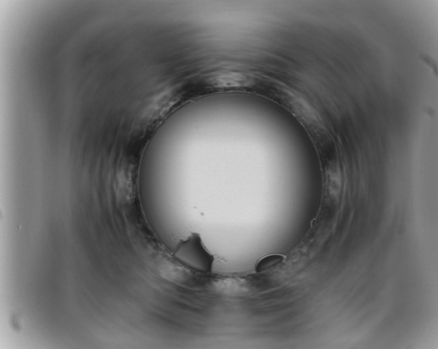 X0000095910422200801181400