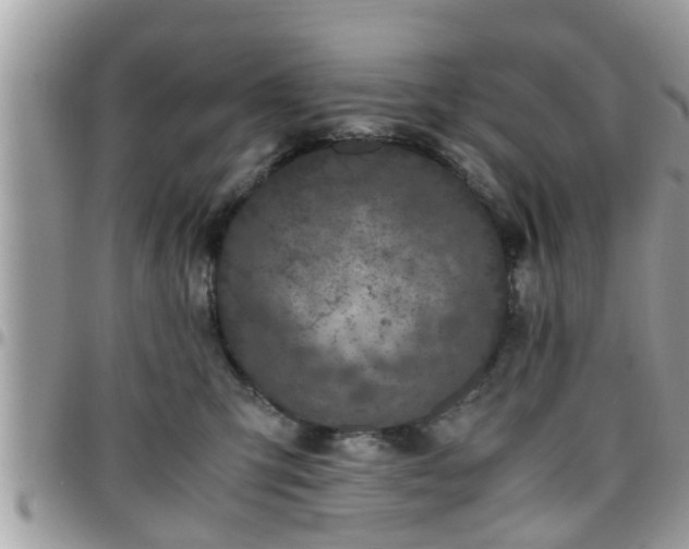 X0000095910423200801181400