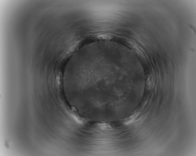 X0000095910424200801181400