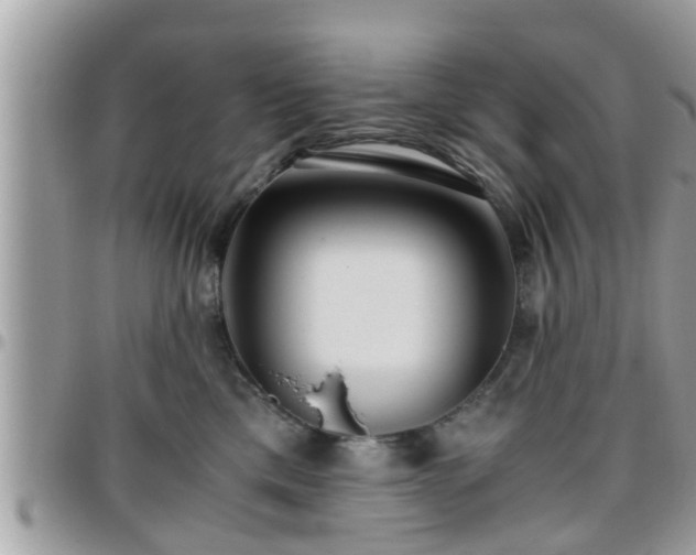 X0000095910425200801181400