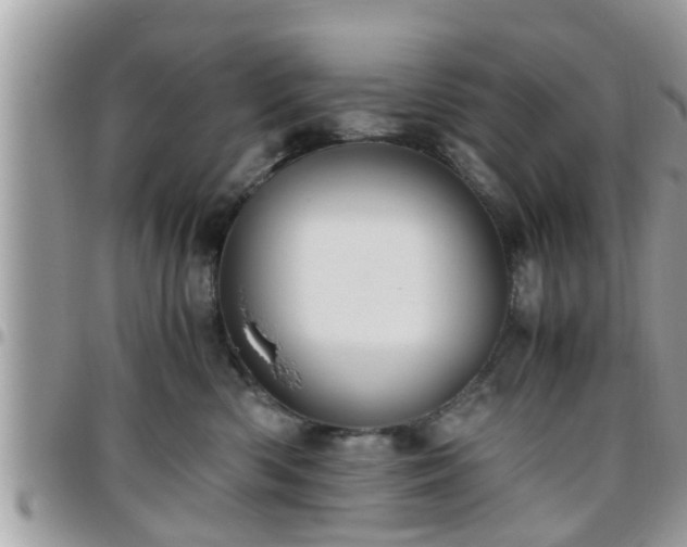 X0000095910426200801181400