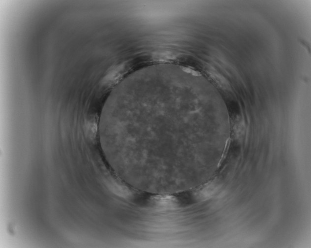 X0000095910427200801181400