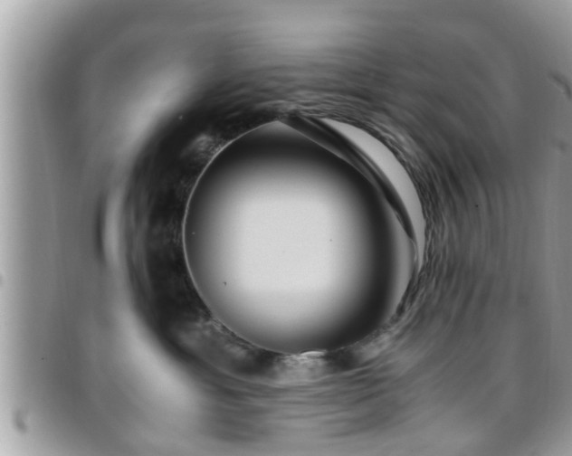 X0000095910429200801181400