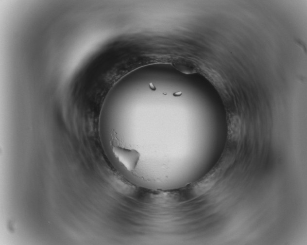 X0000095910430200801181400