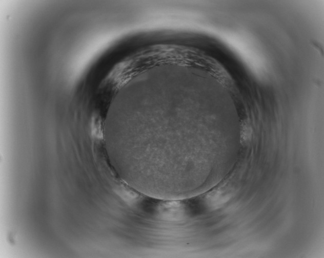 X0000095910431200801181400