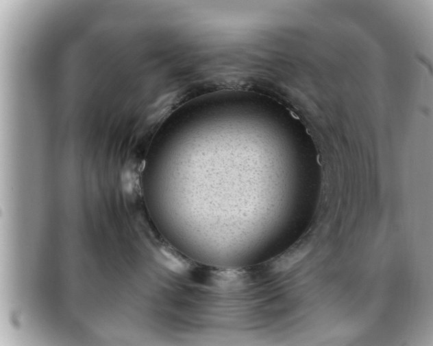 X0000095910432200801181359